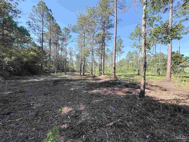 Del Monte St, Milton, FL 32583