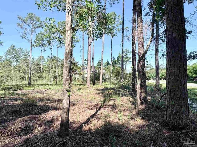 Del Monte St, Milton, FL 32583