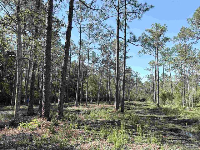 Del Monte St, Milton, FL 32583
