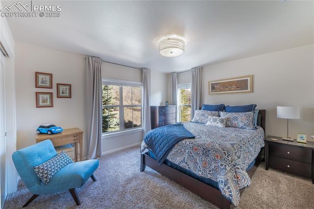 3614 Tuscanna Grove, Colorado Springs, CO 80920