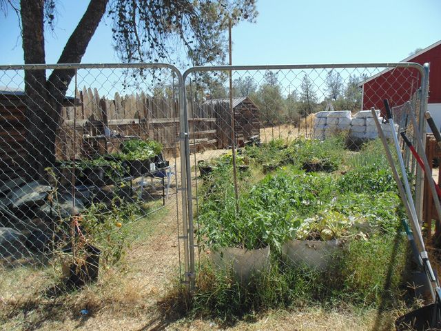 4161 Ginger Rd, Garden Valley, CA 95651