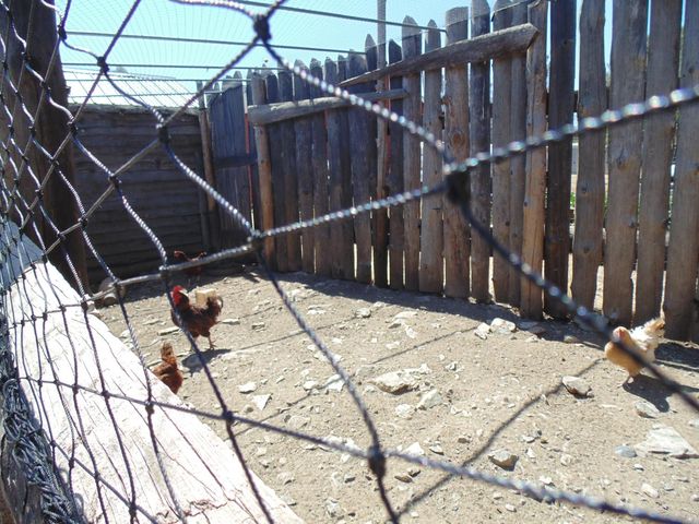 4161 Ginger Rd, Garden Valley, CA 95651