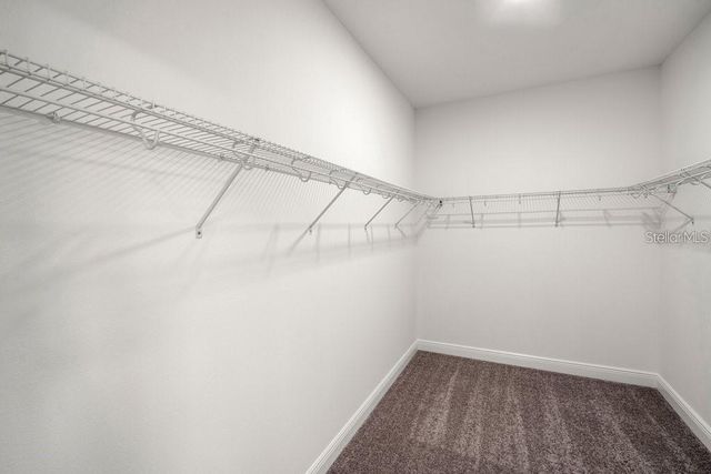 16049 SONOMA GROVE CIRCLE, Tampa, FL 33647