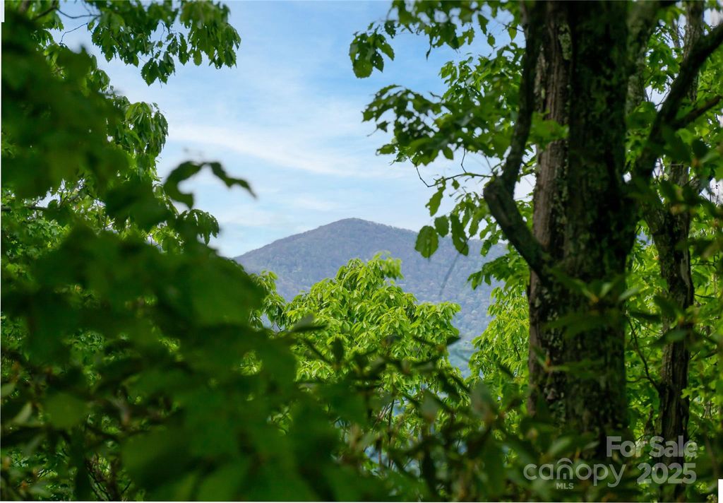 1111 Elm Tree Lane, Swannanoa, NC 28778