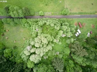 0 Ne 389th St, Amboy, WA 98601