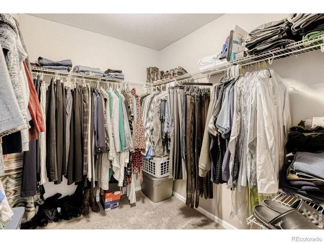 59 Sun up Circle, Erie, CO 80516