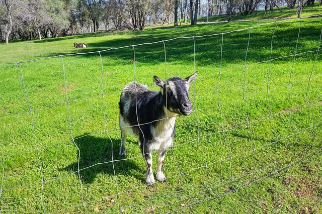 5508 High Sierra Rd, Pilot Hill, CA 95664