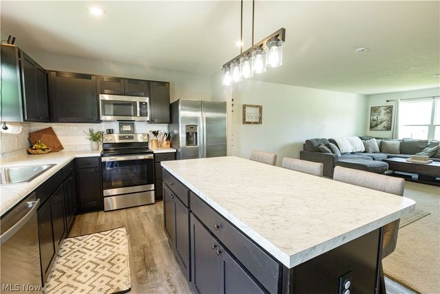1411 Elizabeth Boulevard, Painesville, OH 44077