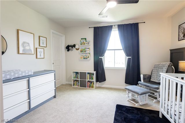 1411 Elizabeth Boulevard, Painesville, OH 44077