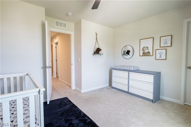 1411 Elizabeth Boulevard, Painesville, OH 44077