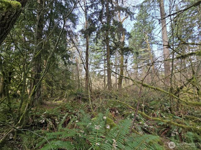 197 xx 242nd Avenue NE, Woodinville, WA 98077