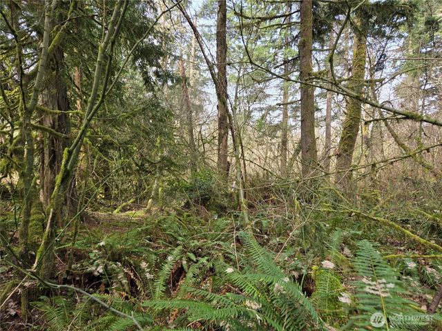 197 xx 242nd Avenue NE, Woodinville, WA 98077