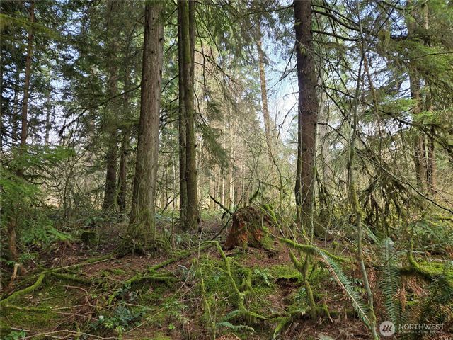 197 xx 242nd Avenue NE, Woodinville, WA 98077