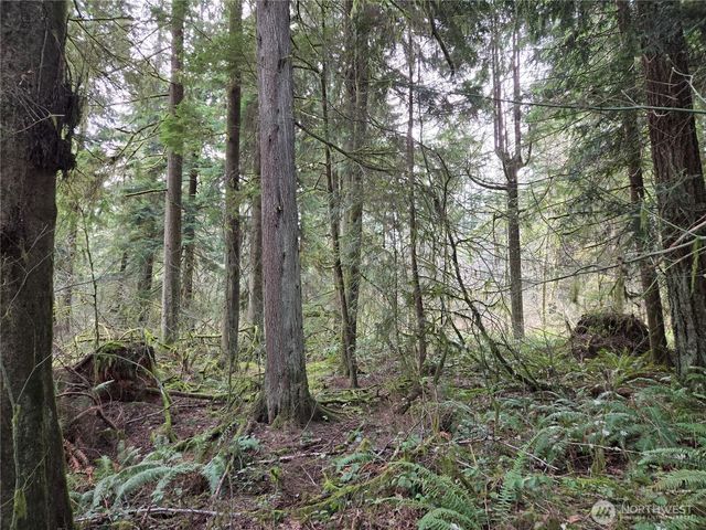 197 xx 242nd Avenue NE, Woodinville, WA 98077