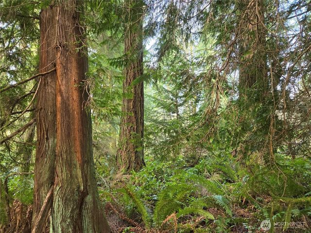 197 xx 242nd Avenue NE, Woodinville, WA 98077