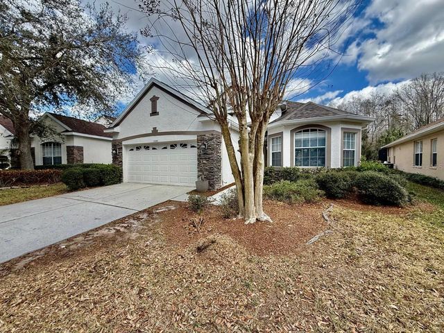 10226 EVERGREEN HILL DRIVE, Tampa, FL 33647