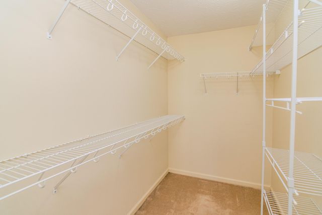 3840 Everetts Dale, Lexington, KY 40514