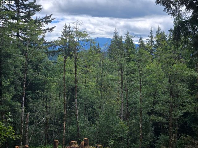 0 MATTHEWS Rd, Washougal, WA 98671