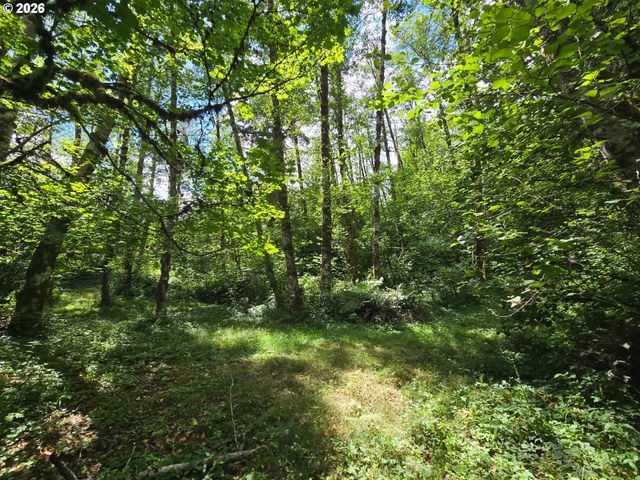 0 MATTHEWS Rd, Washougal, WA 98671