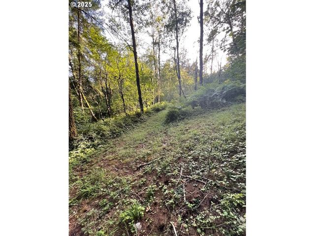 0 MATTHEWS Rd, Washougal, WA 98671