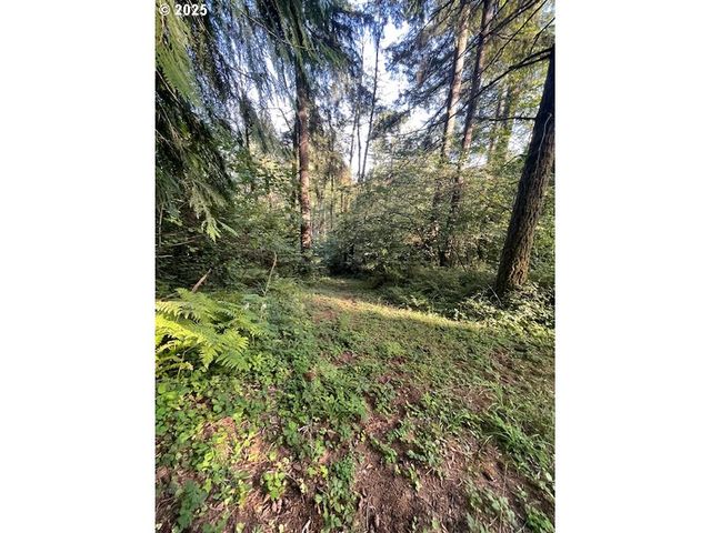 0 MATTHEWS Rd, Washougal, WA 98671