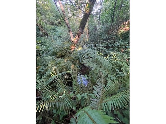 0 MATTHEWS Rd, Washougal, WA 98671