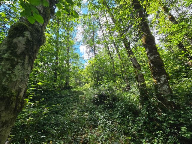 0 MATTHEWS Rd, Washougal, WA 98671