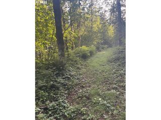 0 MATTHEWS Rd, Washougal, WA 98671