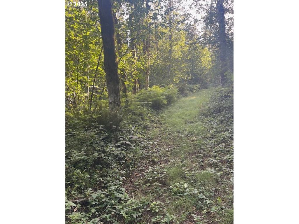0 MATTHEWS Rd, Washougal, WA 98671