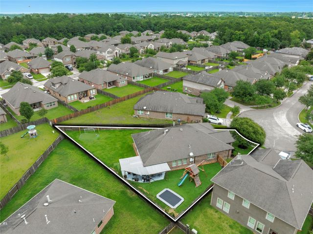 24102 Mckinzie Ridge Drive, Porter, TX 77365