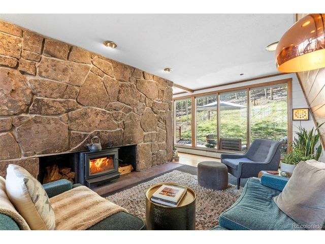 56 Valley View Dr, Nederland, CO 80466