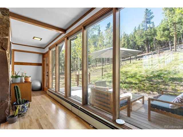 56 Valley View Dr, Nederland, CO 80466