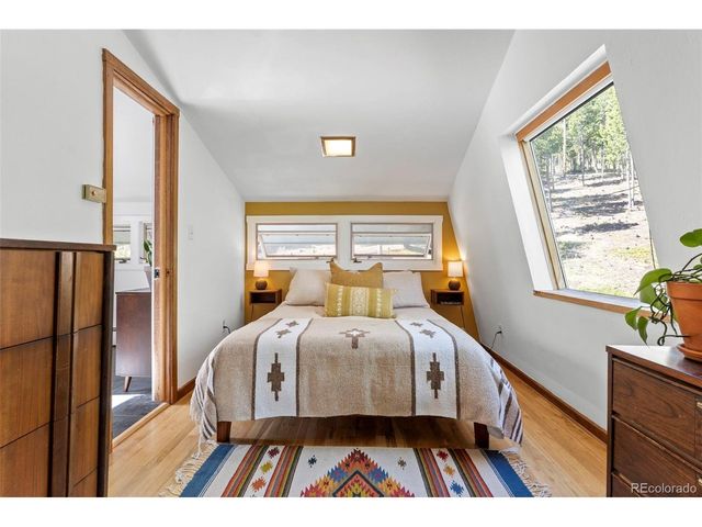 56 Valley View Dr, Nederland, CO 80466