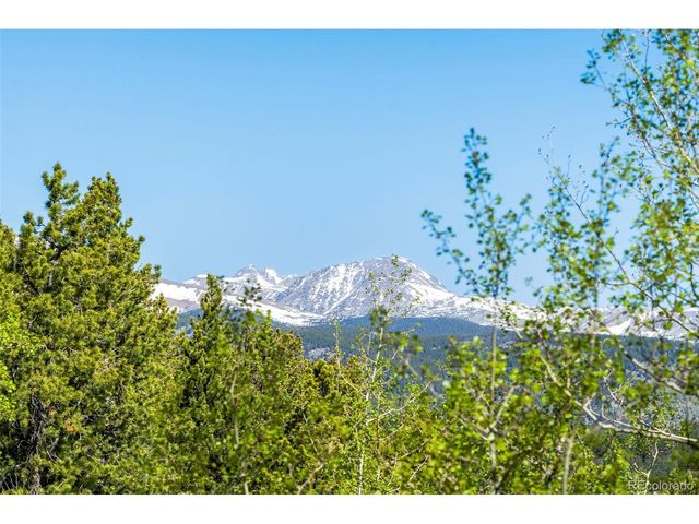 56 Valley View Dr, Nederland, CO 80466