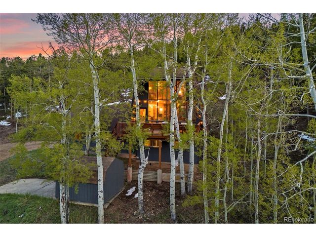 56 Valley View Dr, Nederland, CO 80466