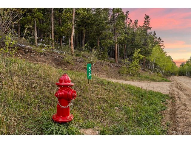 56 Valley View Dr, Nederland, CO 80466