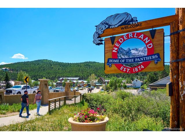 56 Valley View Dr, Nederland, CO 80466