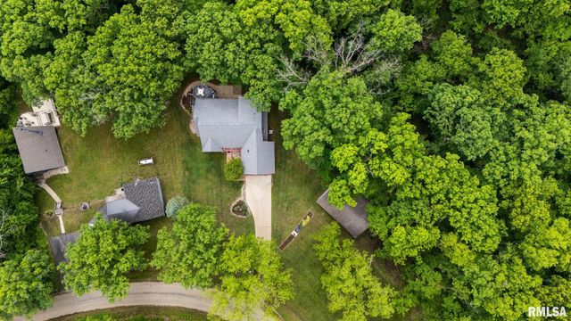 131 LAKESIDE Place, Dahinda, IL 61428