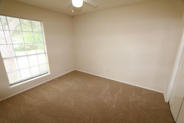 15511 Sungold Court, Houston, TX 77095