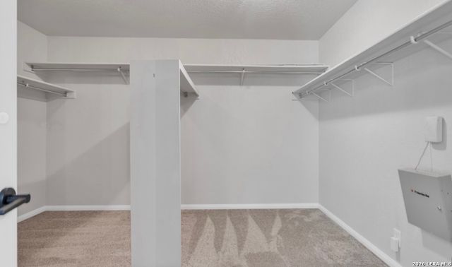24510 Brazos Stage, San Antonio, TX 78255