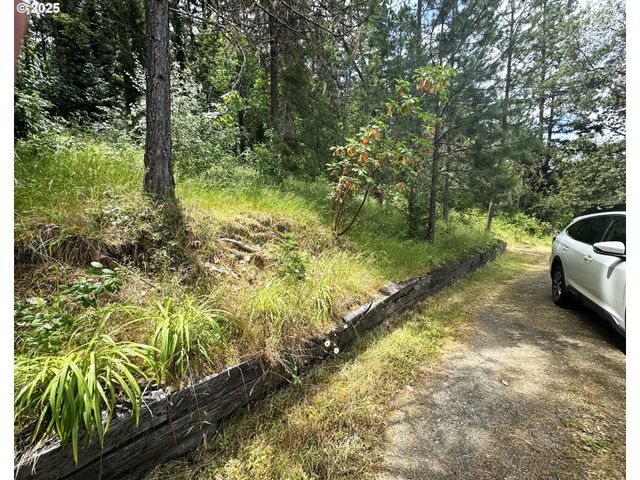 410 EVERGREEN RIDGE Rd, Riddle, OR 97469