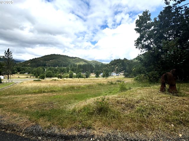 410 EVERGREEN RIDGE Rd, Riddle, OR 97469
