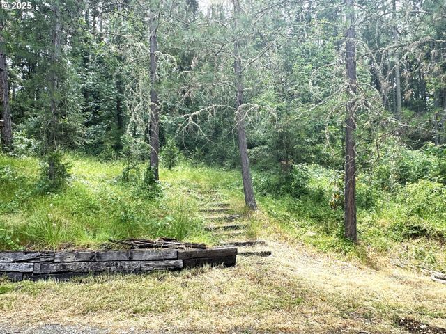 410 EVERGREEN RIDGE Rd, Riddle, OR 97469