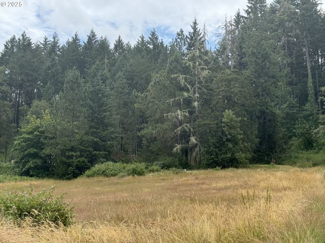 410 EVERGREEN RIDGE Rd, Riddle, OR 97469