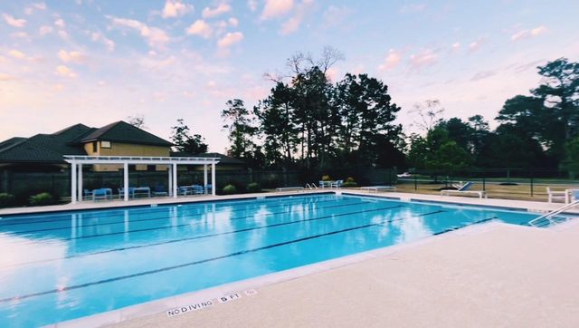 24518 Alli Creek Ct, Spring, TX 77389