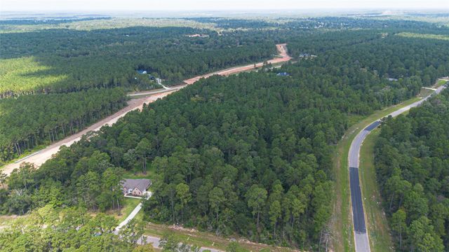 15889 Four Hills Road, Willis, TX 77378