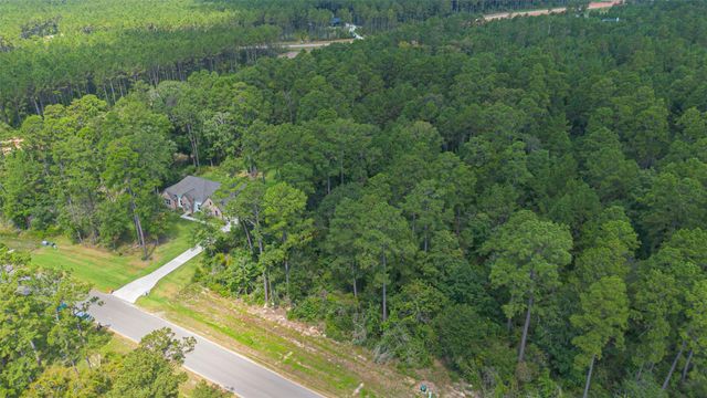 15889 Four Hills Road, Willis, TX 77378