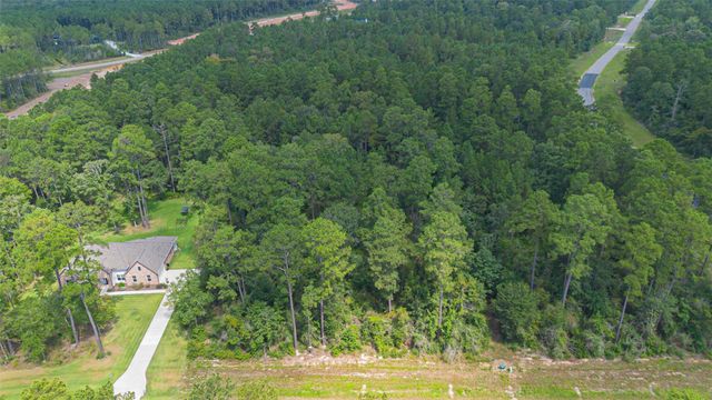 15889 Four Hills Road, Willis, TX 77378