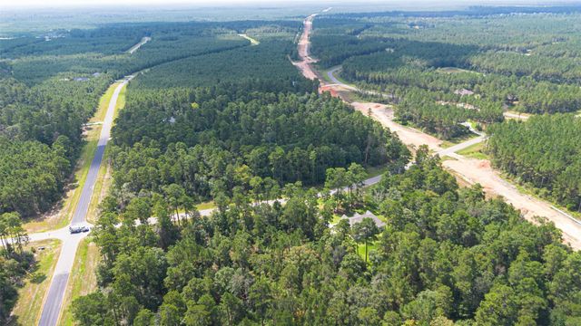 15889 Four Hills Road, Willis, TX 77378