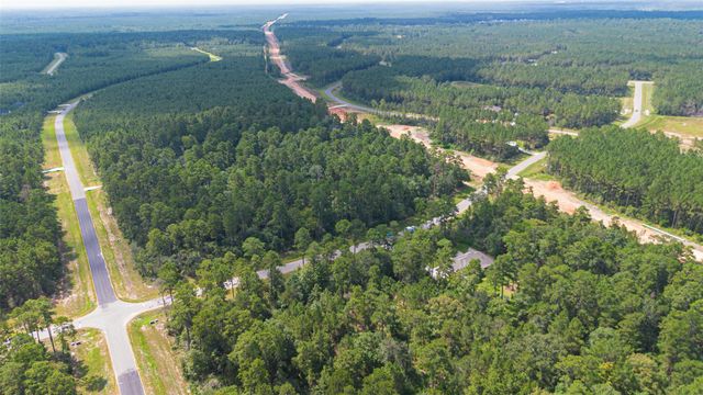 15889 Four Hills Road, Willis, TX 77378